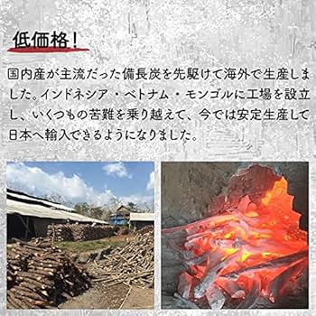 Amazon.co.jp: オガ炭 炭 木炭 備長炭 王様の炭 3kg